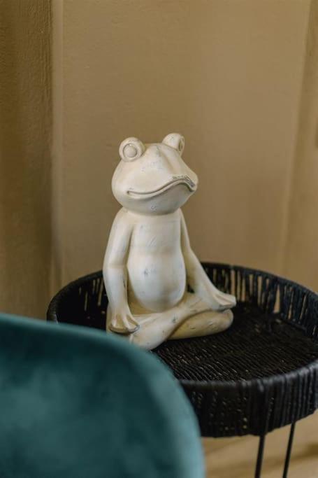Frog 2 Όμορφο Διαμέρισμα Στα Ιωαννινα Ioannina Bagian luar foto